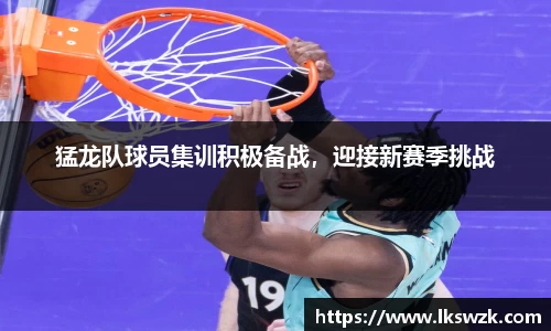 星空体育综合官网